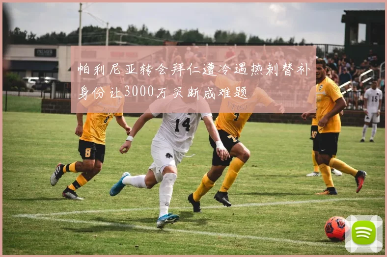 帕利尼亚转会拜仁遭冷遇热刺替补身份让3000万买断成难题